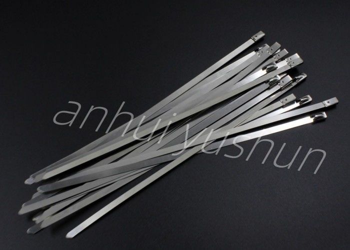 tipo inoxidable resistente de la hebilla de la atadura de cables SS316 de 700m m