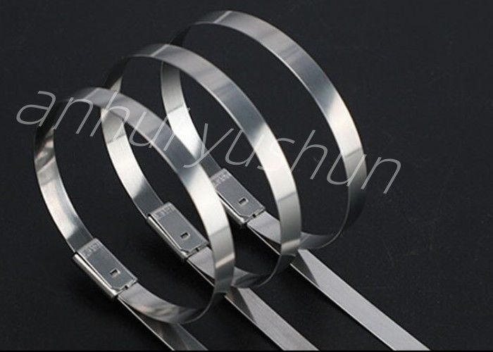 tipo inoxidable resistente de la hebilla de la atadura de cables SS316 de 700m m