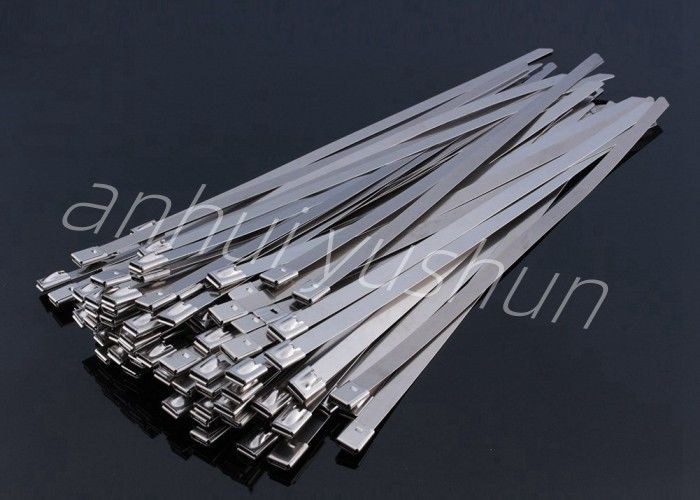 tipo inoxidable de la hebilla de la atadura de cables del paquete SS316 de 100m m