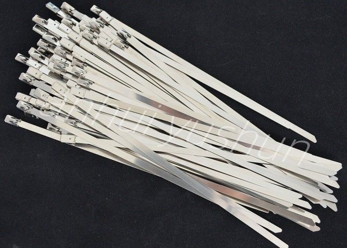 tipo inoxidable de la hebilla de la atadura de cables del paquete SS316 de 100m m