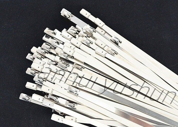 tipo inoxidable de la hebilla de la atadura de cables del paquete SS316 de 100m m