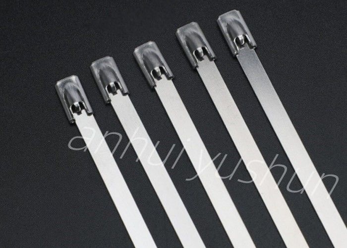 tipo inoxidable de la hebilla de la atadura de cables del paquete SS316 de 100m m